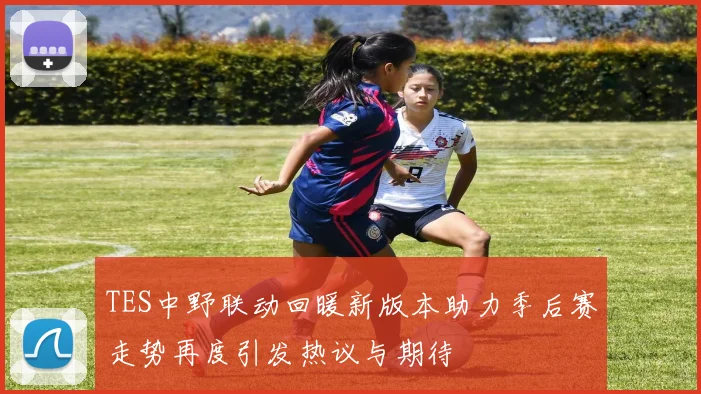 TES中野联动回暖新版本助力季后赛走势再度引发热议与期待